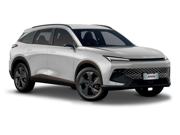 BAIC X55 Светло-серый металлик